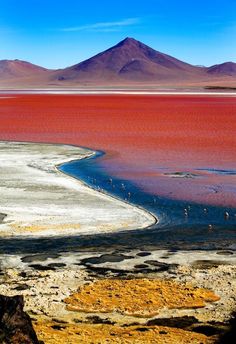 the water is red and blue in this desert area, with mountains in the background