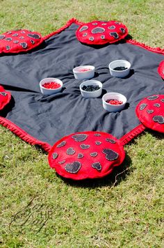 a black and red blanket sitting on top of a grass covered field next to bowls of food