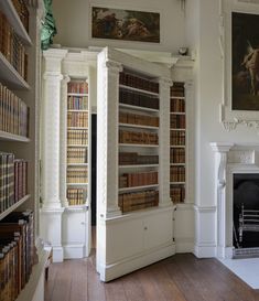 a room with many books on the shelves and a fire place in the corner next to it