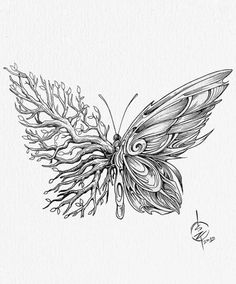 a black and white drawing of a butterfly with leaves on it's back wings