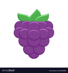 a bunch of grapes with green leaves on the top and purple berries on the bottom