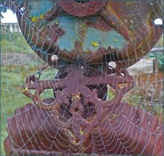 the spider web is attached to an old rusted metal object