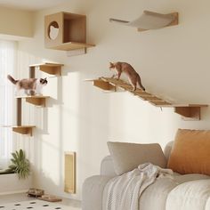 two cats are standing on wooden shelves in the living room and one cat is climbing up