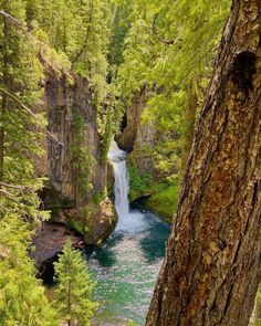 a waterfall in the middle of a forest