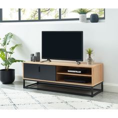 an entertainment center with a flat screen tv on it's stand in front of a potted plant