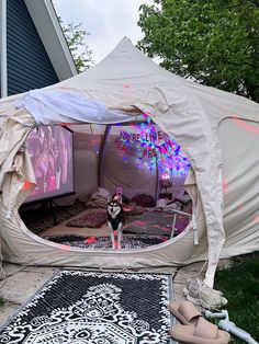 there is a tent with lights on it and a cat standing in front of it