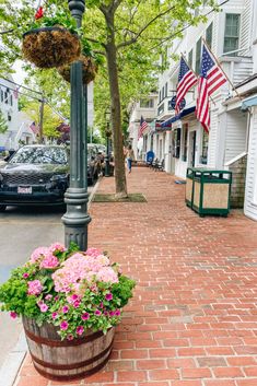 a potted plant sitting on the side of a brick road next to a street light