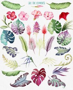 watercolor tropical leaves and flowers on a white background with the words, be the elements