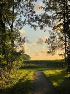 the sun is shining through the trees and on the path to the field in the distance