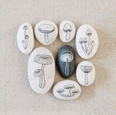 a group of rocks with different types of mushrooms painted on them, arranged in the shape of a circle