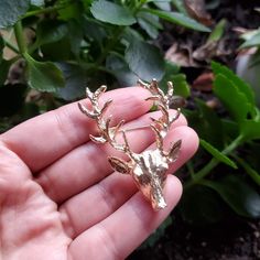 *Offers Welcome! 20% Off Bundles Of 3 Or More Items! . . New Gold Stag Brooch Pin. Beautiful. Approx 5.5cm Long. . . . _________ Brooches Pins Grandma Grandmas Grandmother Grandmothers Grandmother's Mother Mothers Mother's Day Holiday Stocking Stuffer Stuffers Nwot Brand New Without Tags Never Worn Boutique Jewelry Gift Present Yellow Deer Reindeer Rudolf Rudolph Natural Earthy Rustic Pins Brooches Moose Deer Antlers O Gat Moose Deer, Holiday Stocking, Deer Antlers, Boutique Jewelry, Women Accessories Jewelry, Stocking Stuffer, Antlers, Jewelry Gift, Moose