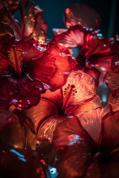 some red flowers that are in the dark