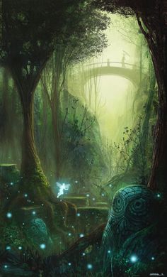 an image of a forest scene with fairy lights