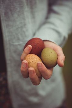 a person holding three eggs in their hands