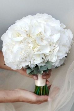 a bride holding a bouquet of white flowers