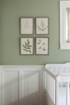 35 Serene Sage Green Nursery Themes Light Green Nursery Boy, Sage Green Nursery Girl, Sage Room