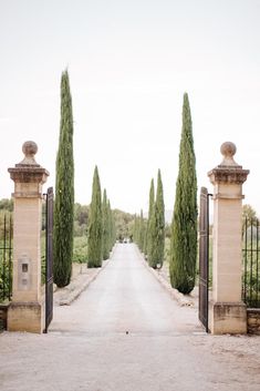 an open gate leading to a driveway with trees in the background