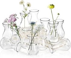 an assortment of vases with flowers in them