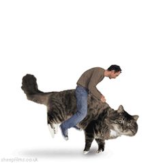 a man riding on the back of a cat in front of a white background,