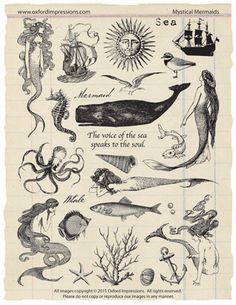 an old book page with sea animals and other marine creatures on the pages, all in black and white