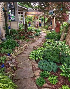 a garden with lots of green plants and rocks on the ground next to a house