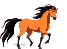 an orange horse with black mane and tail