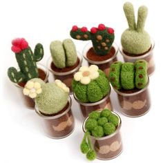 small potted plants are arranged in the shape of cactuses