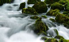 the water is flowing over mossy rocks