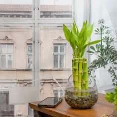 there is a glass vase with some green plants in it and a cell phone on the table