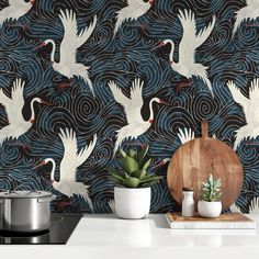 the wallpaper has birds on it and is next to a potted succulent