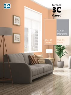 the living room is painted in peach and grey tones, with white trim on the walls