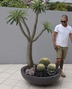 a man standing next to a large potted plant