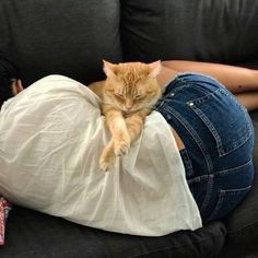 a woman laying on top of a couch with a cat sleeping on her stomach next to her