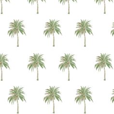 Evening Walk Watercolor Palm Tree, Paw Party, Surf Room, Blog Wallpaper, Record Room, Washable Wallpaper, Palm Tree Pattern, Malibu Barbie, Palm Tree Print