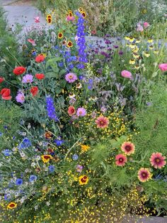 a garden filled with lots of different colored flowers