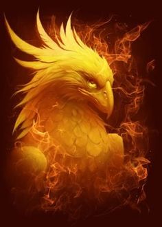 Phoenix Head, Phoenix Quotes, Blue Dragon Tattoo, Phoenix Dragon, Hybrid Art, Eagle Wallpaper