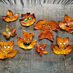 some leaves with faces on them and eyes painted on them are arranged in the shape of cats