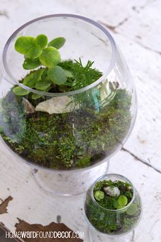 a glass vase filled with plants on top of a table