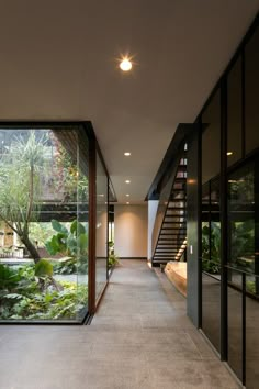 an image of a hallway with glass walls and plants on the floor in front of it