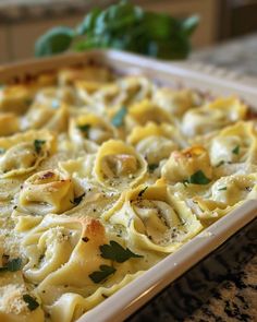 a casserole dish with shells and cheese