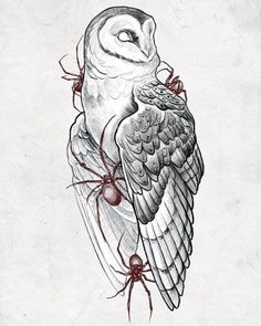 a drawing of an owl sitting on top of a spider