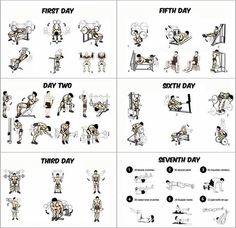 an exercise chart with different exercises to do for the entire body, including squats and triceps