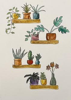 three wooden shelves with plants on them