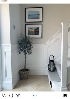 a potted plant sitting on top of a wooden floor next to a stair case