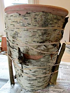 a potted plant sitting on top of a table next to a newspaper and wooden sticks