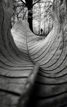 a skateboard park with ramps and trees in the background