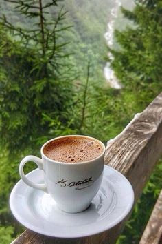 a cup of coffee sitting on top of a white saucer next to a forest