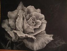 a black and white drawing of a rose