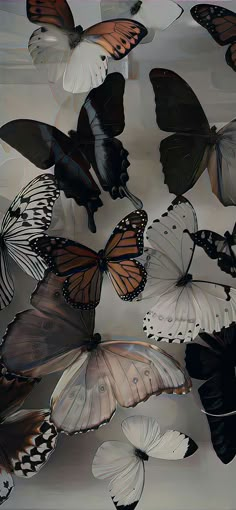 a group of butterflies flying through the air with white and black colors on their wings