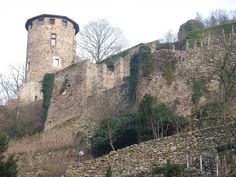 an old stone castle sitting on the side of a hill next to trees and bushes